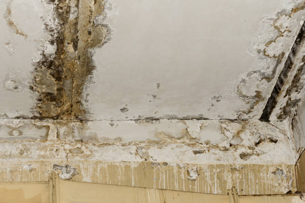 Best Indoor Air Quality Assessment  in Carleton, MI