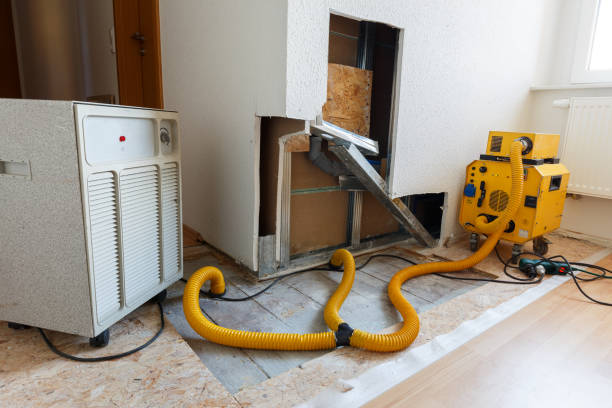 Best Airborne Mold Testing  in Carleton, MI