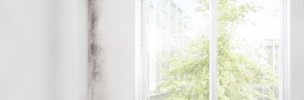 Best Industrial Mold Remediation  in Carleton, MI