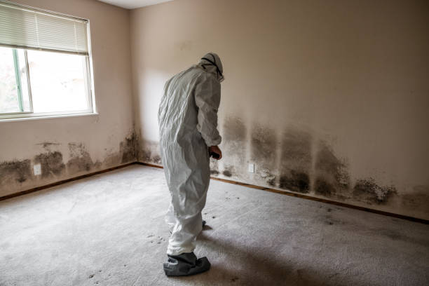 Best Crawl Space Mold Remediation  in Carleton, MI